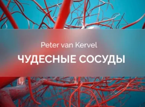 [Краниосакральная академия] Чудесные сосуды (Питер Ван Кервель)