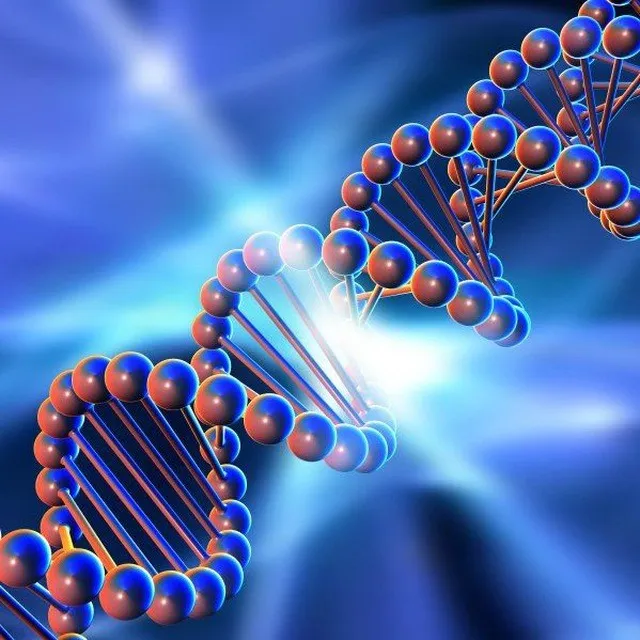 [genetics_4u] Биохимия мужского здоровья