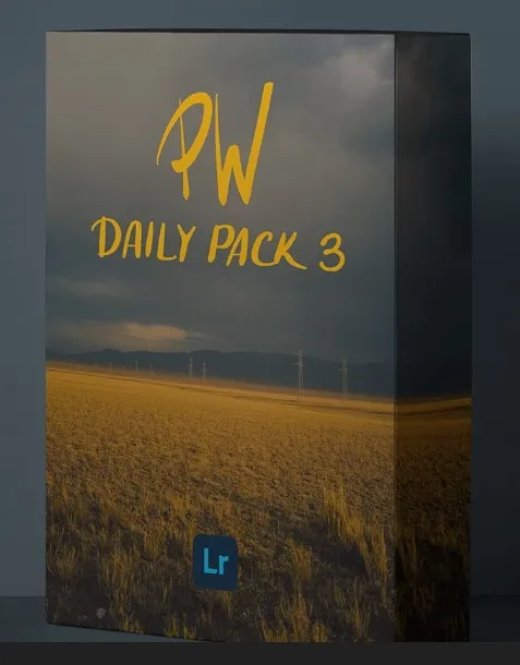 Набор пресетов PW Daily Pack III (Полина Вашингтон)