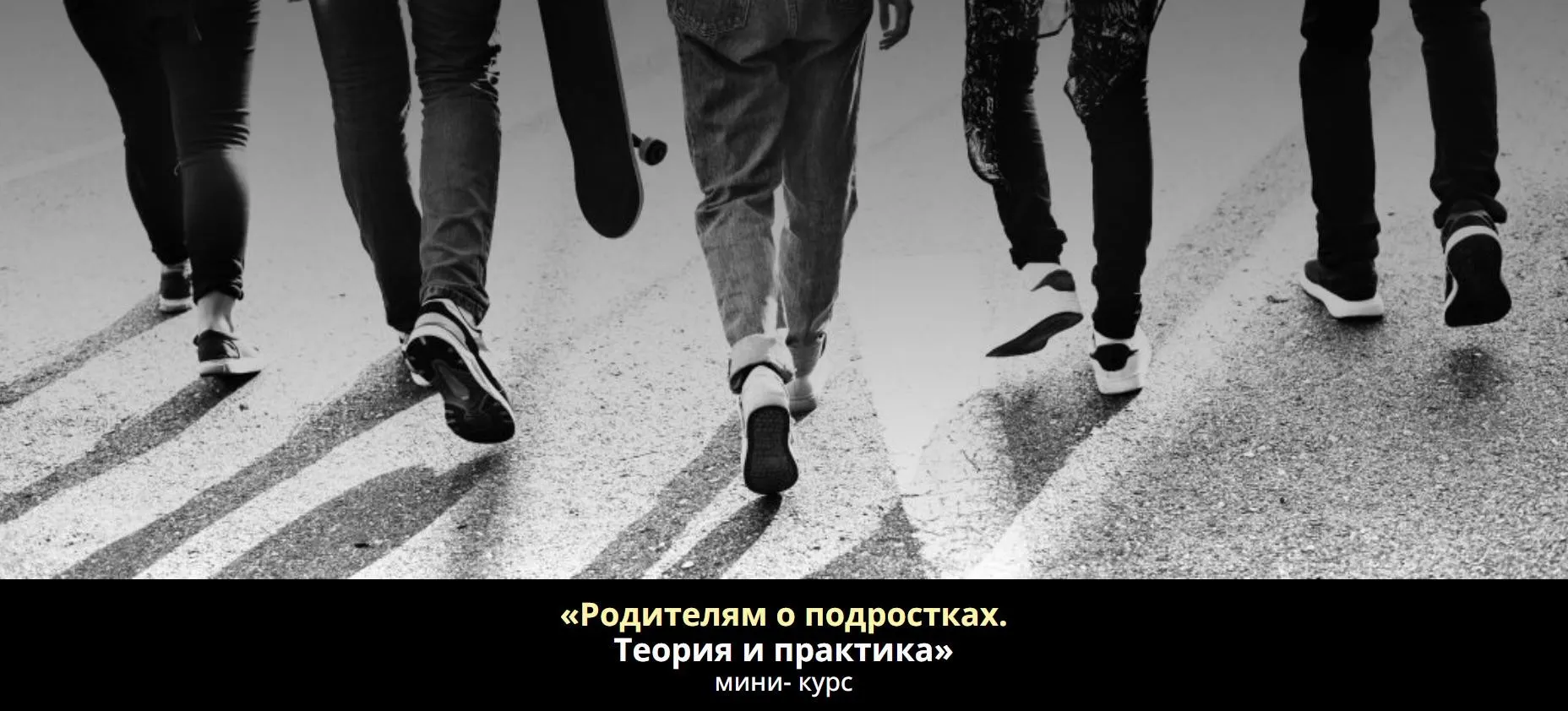 Родителям о подростках. Теория и практика (Анна Полищук)