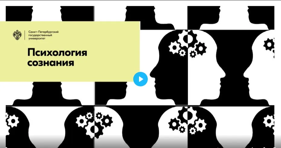 [СПбГУ] Психология сознания (Виктор Аллахвердов)