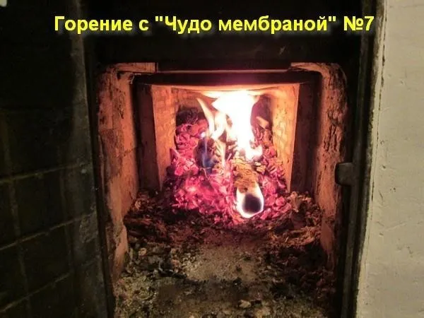 Чудо мембрана №7 - квантовый генератор Почеевского (Владимир Почеевский)