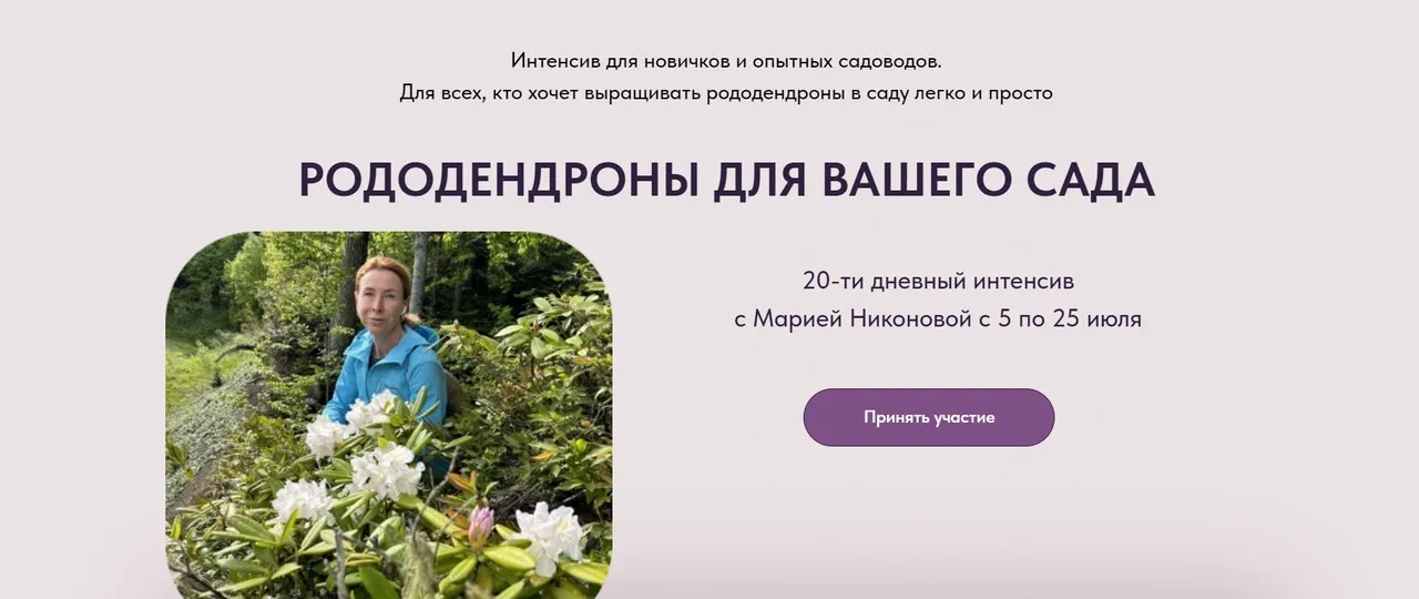 Рододендроны для вашего сада. Тариф Слушатель (Мария Никонова)