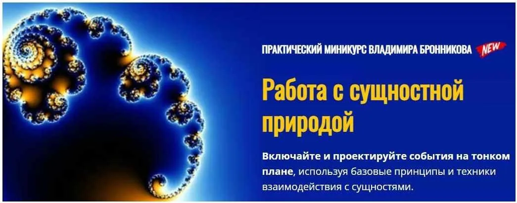 Работа с сущностной природой (Владимир Бронников)