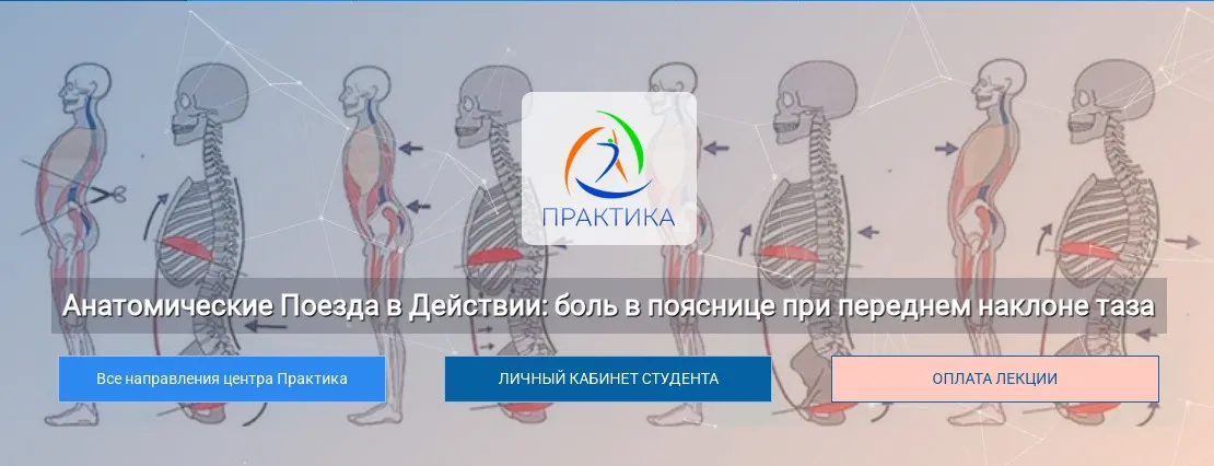 [Центр Практика] Анатомические Поезда в Действии: боль в пояснице при переднем наклоне таза (Анна Щербина)