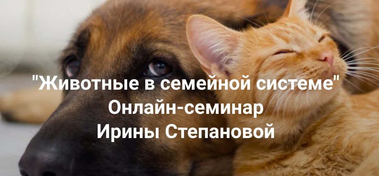 [Институт Открытого поля] Животные в семейной системе (Ирина Степанова)