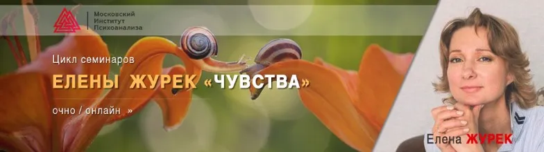 Чувства и эмоции как основа личности клиента (Елена Журек)