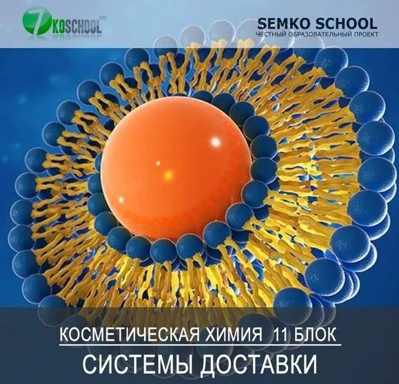 [7koschool] Курс-практикум «Косметическая химия». Блок 11 «Трансэпидермальные системы доставки» (Анастасия Семко)