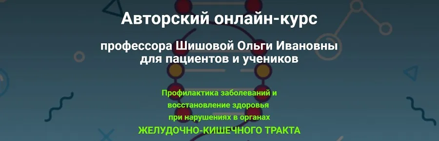 Профилактика заболеваний и восстановление здоровья при нарушениях в органах ЖКТ (Ольга Шишова)