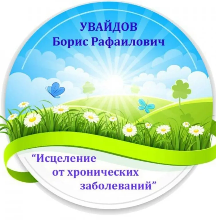 Наука исцеления от хронических заболеваний (Борис Увайдов)