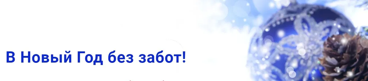 [Homo Futurus] В Новый Год без забот (Хасай Алиев, Валентина Киселева)