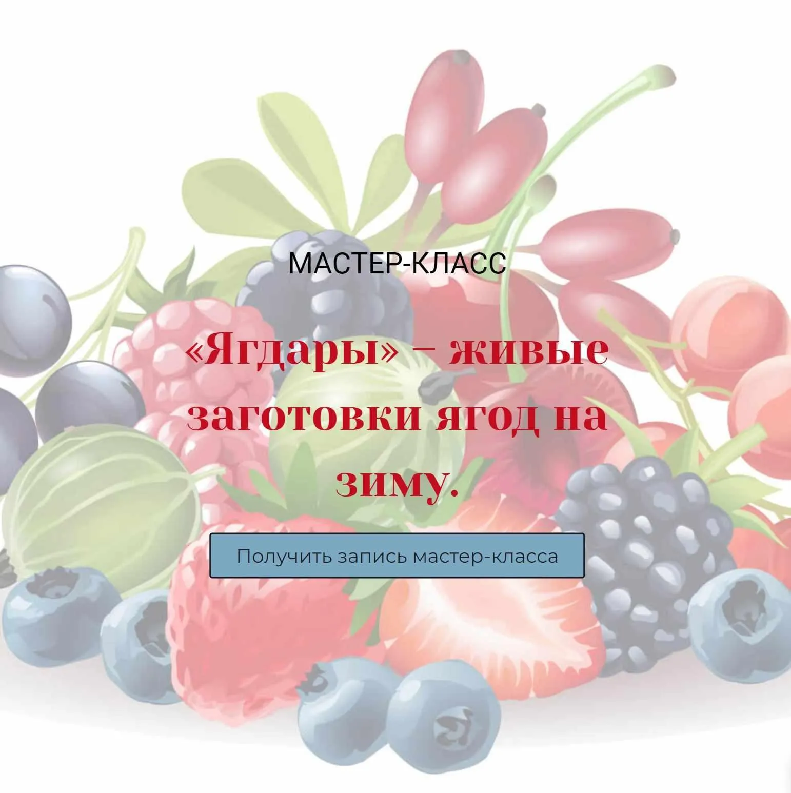 Ягдары – живые заготовки ягод на зиму (Оксана Мицкевич)