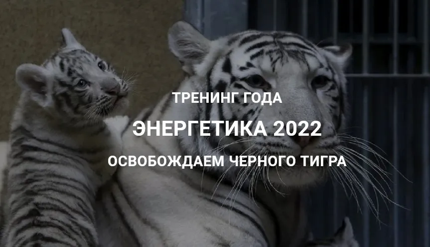 [Дао-Сфера] Энергетика 2022 освобождаем черного тигра. Тариф Платина (Дмитрий Лаптев)