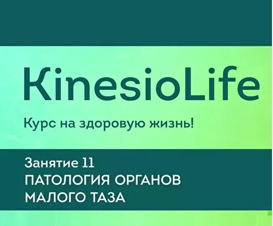 [KinesioLife] Занятие 11. Патология органов малого таза (Дмитрий Маликов)
