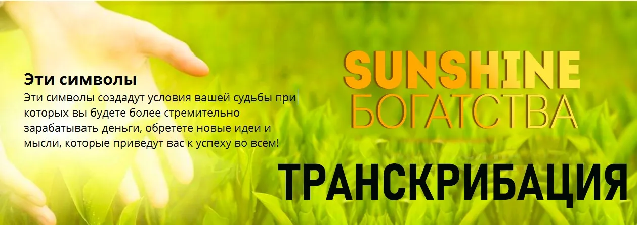 Sunshine Богатство. Транскрибация (Андрей Дуйко)