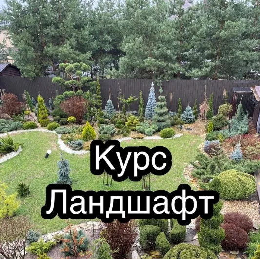 [Ева. Сад своими руками] Ландшафт