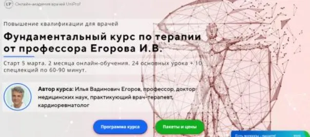 Фундаментальный курс по терапии. Стандарт (Илья Егоров)