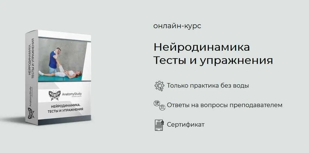 [Анатомия] Нейродинамика. Тесты и упражнения (Андрей Богатырев)