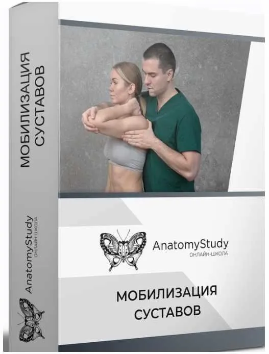 [Анатомия] Мобилизация суставов. Мануальные техники (Сергей Скворцов)