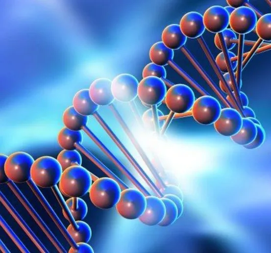 [Genetics FY] Практический курс по детоксу эстрогенов. Тариф Я сам