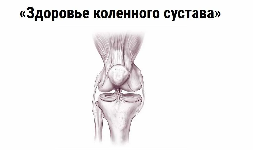 Здоровье коленного сустава (Дмитрий Путылин)
