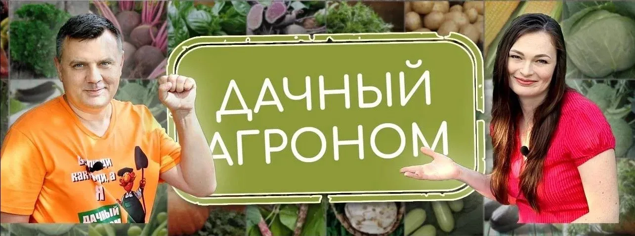 [Дачный агроном] Видеоуроки Розы