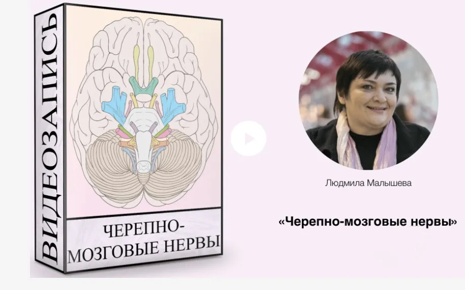 [GeekBrains] Факультет веб-разработки 2019-2020 (Алексей Кадочников, Артем Манченков)