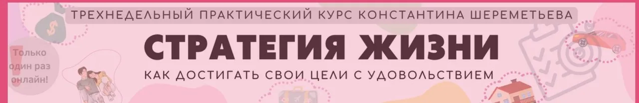 Стратегия жизни. Тариф Базовый (Константин Шереметьев)