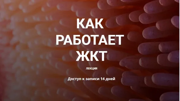 Как работает ЖКТ (Елена Иванова)