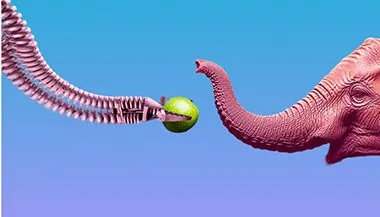 [Прямая речь] Бионика: что мы подсмотрели у природы. Интерактивная научная лекция для детей 9+ и их родителей (Илья Гомыранов)