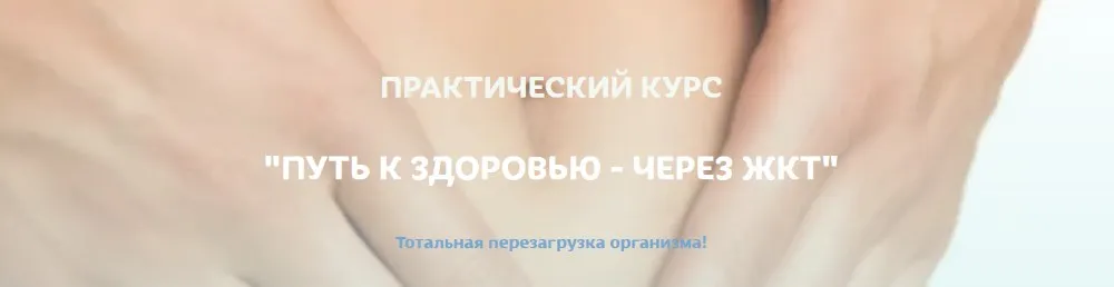 Путь к здоровью - через ЖКТ. Тариф Оптимум + (Светлана Литвиненко)