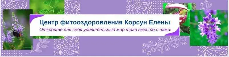 [Fitomama] Лечебные свойства корней. Часть 1 (Елена Корсун)