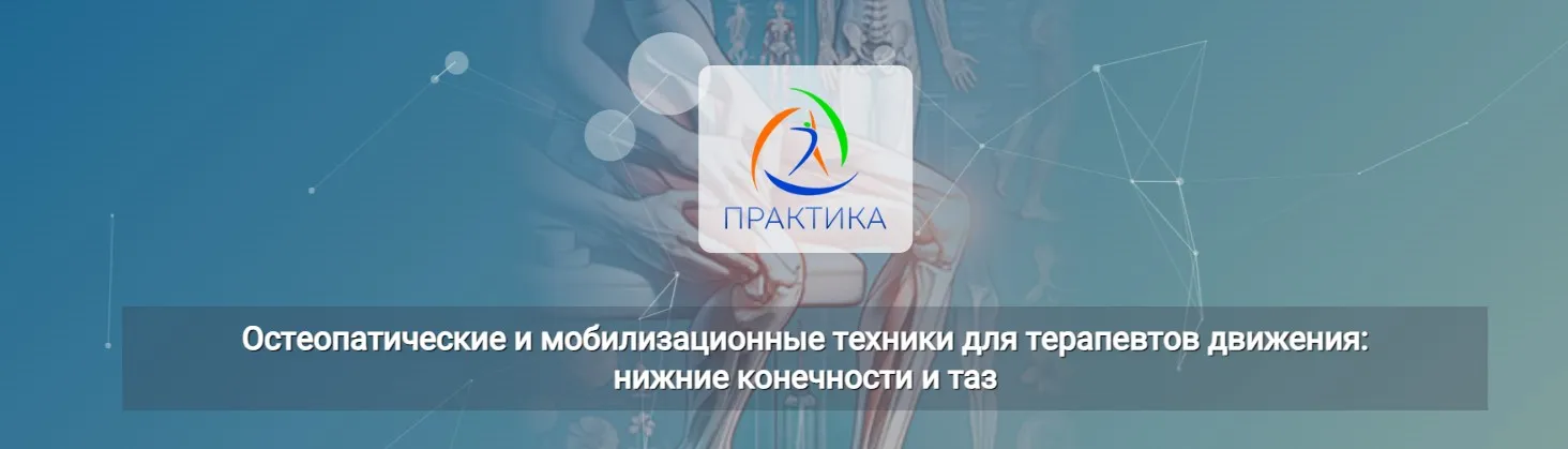 [Центр Практика] Остеопатические и мобилизационные техники для терапевтов движения: нижние конечности и таз (Елена Шинина, Екатерина Долгова)