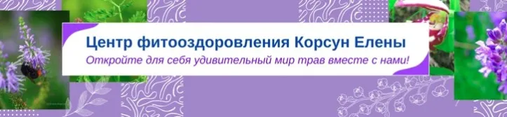 [Fitomama] Фитотерапия в онкологии Часть 2 (Елена Корсун)