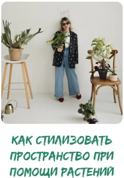 [plants.coach] Как стилизовать пространство при помощи растений. Тариф Самостоятельный (Яна Строинская)