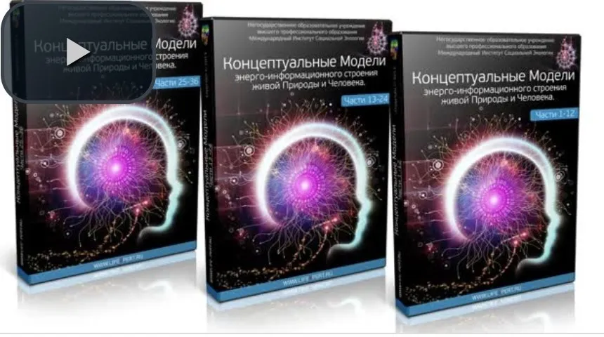 Деньги, Энергия и Эмоции. Истинные ценности и их взаимоконвертируемость (Вячеслав Губанов)