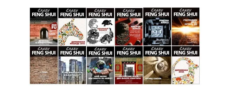 12 выпусков журнала «Crazy Fengshui» (Владимир Захаров)