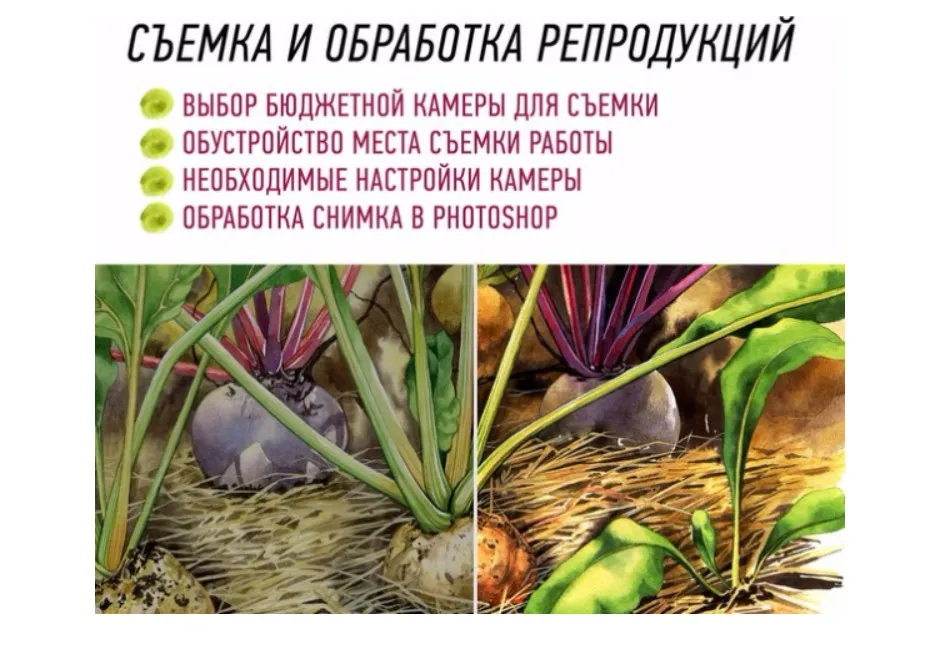 Репродукция. Фото и обработка картин (Максим Наземцев, Татьяна Ширбидова)