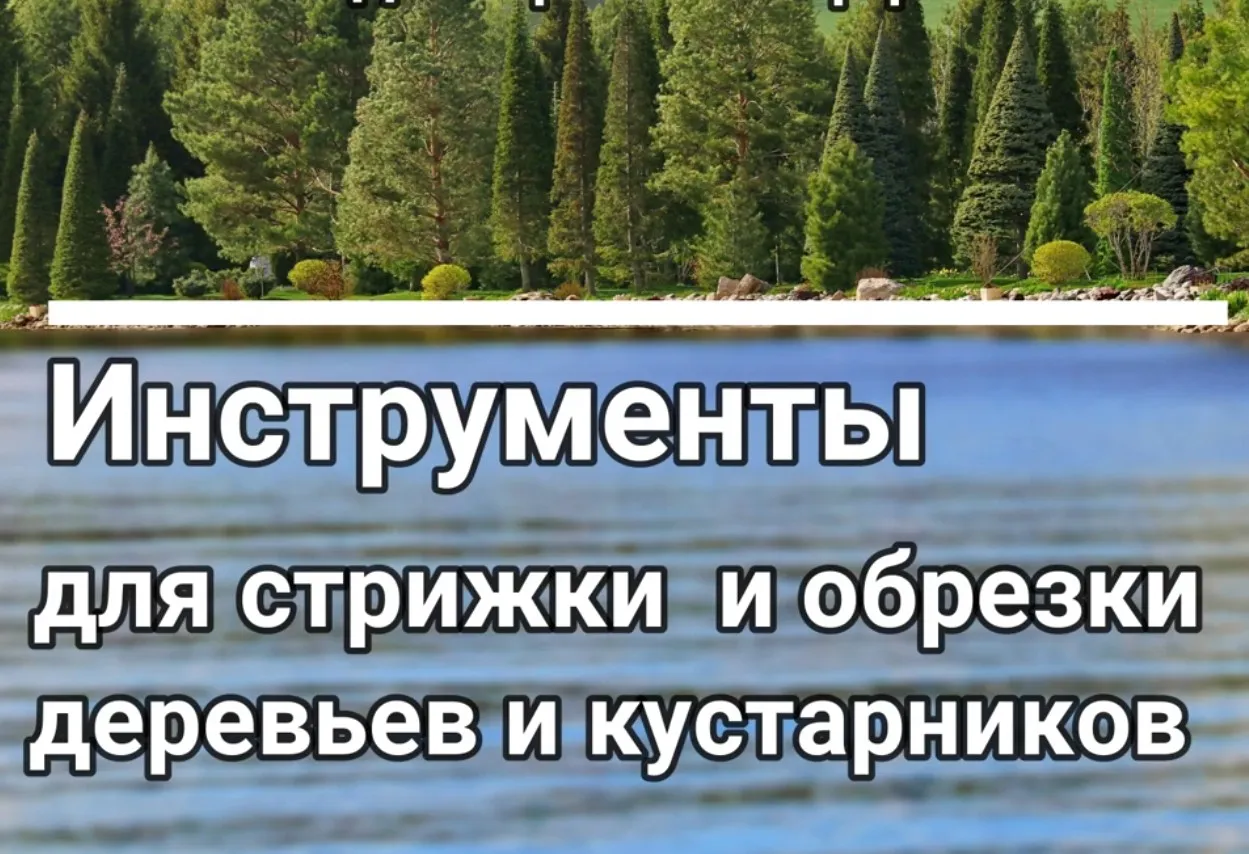 Инструменты для стрижки и обрезки деревьев и кустарников (Владимир Ляпчев)