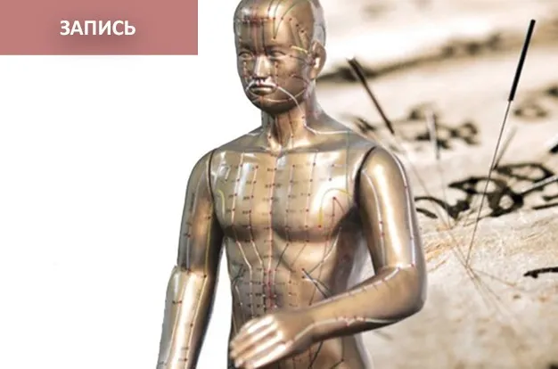 [Синофарм] Четыре метода диагностики в акупунктуре (Елена Макарова)