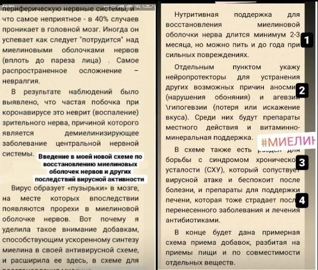 Схема по восстановлению миелиновых оболочек нервов (Ната Хаустова)