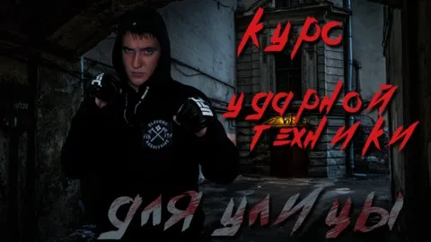 Курс ударной техники для улицы (Александр Степанов)
