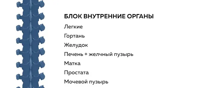 Блок внутренние органы (Григорий Крутов)