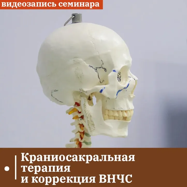 Краниосакральная терапия и коррекция ВНЧС (Григорий Крутов)
