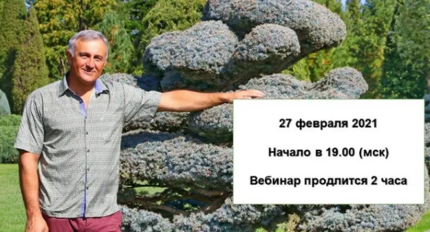 Топиарное искусство (Владимир Ляпчев)