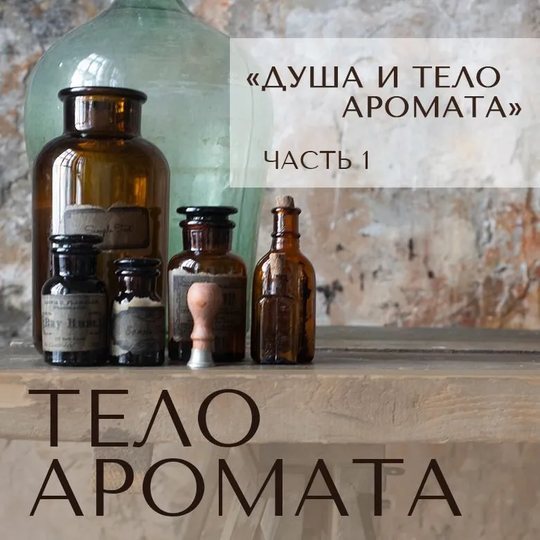 Душа и тело аромата. Часть 1. Тело аромата (Анна Зворыкина)