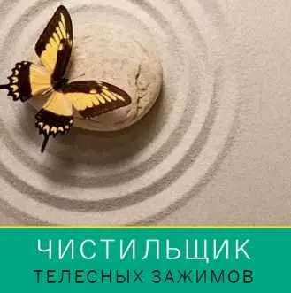 Чистильщик телесных зажимов (Леонид Каюм)