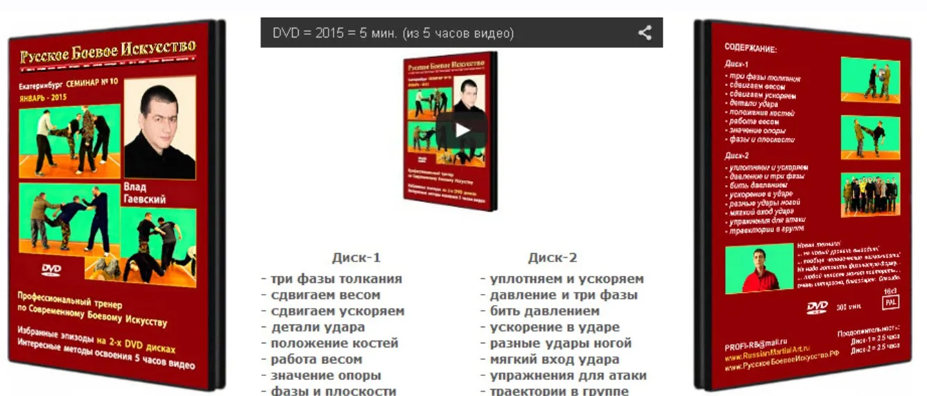 Самооборона для всех. Русское боевое искусство. Десятый семинар (Владислав Гаевский)