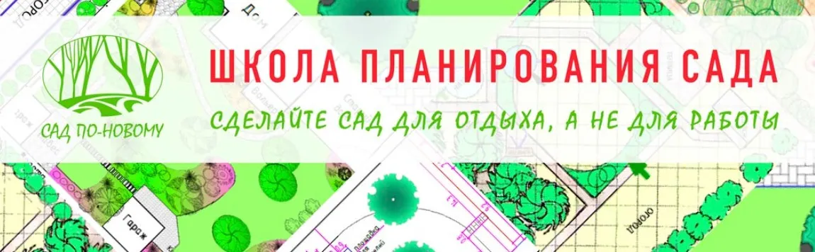 Как подобрать кустарники в композиции, которые украсят ваш сад, 2015 (Наталья Мягкова)