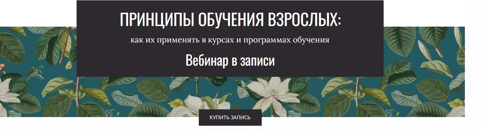 Принципы обучения взрослых. Тариф Сам за себя (Елена Тихомирова)